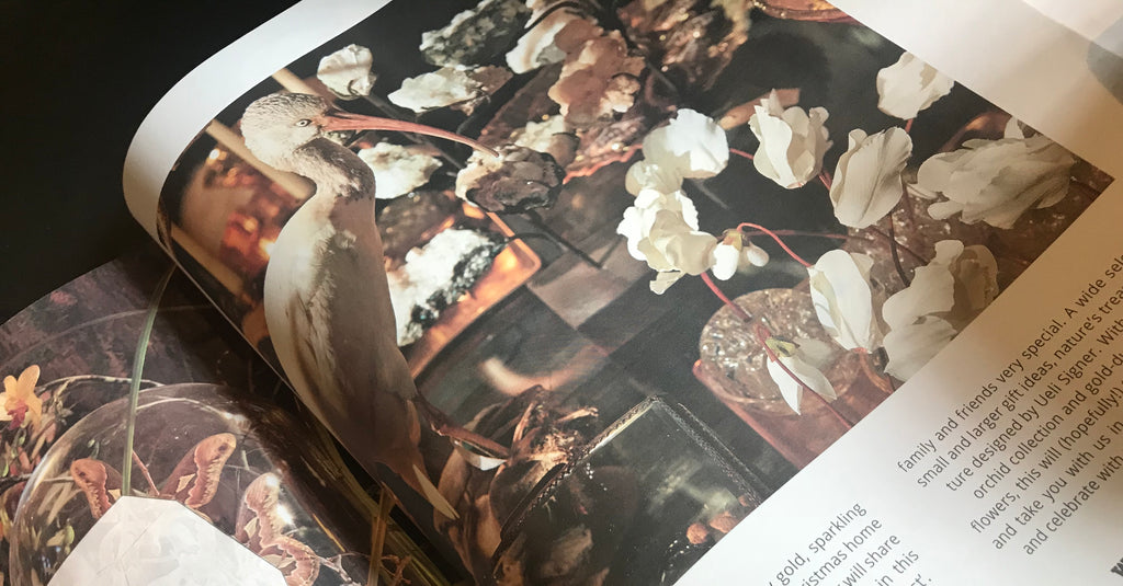 The Wunderkammer Times