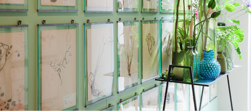 Interior & Furniture