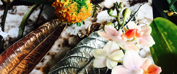 tableware wunderkammer