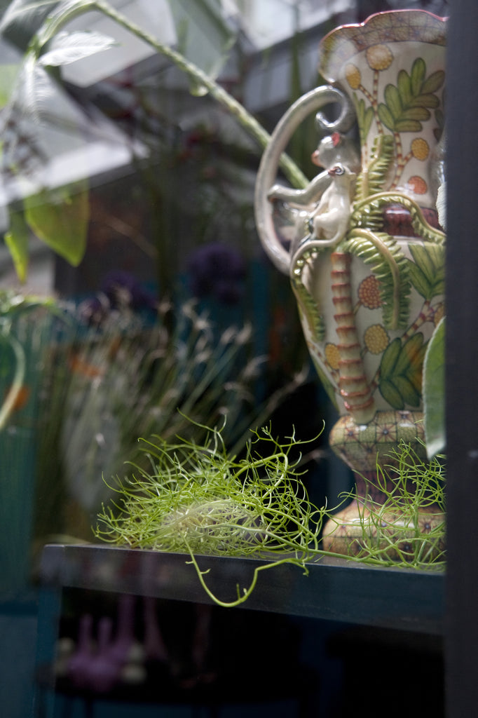 Ardmore monkey vase