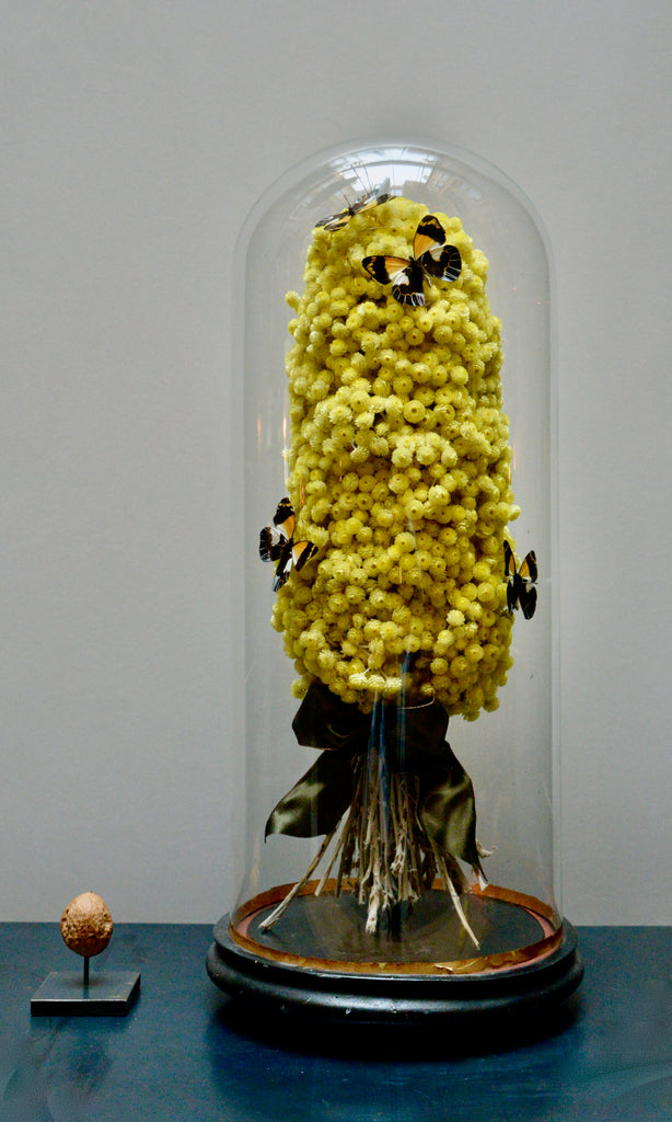 Round high vintage dome with helichrysum bouquet and butterflies
