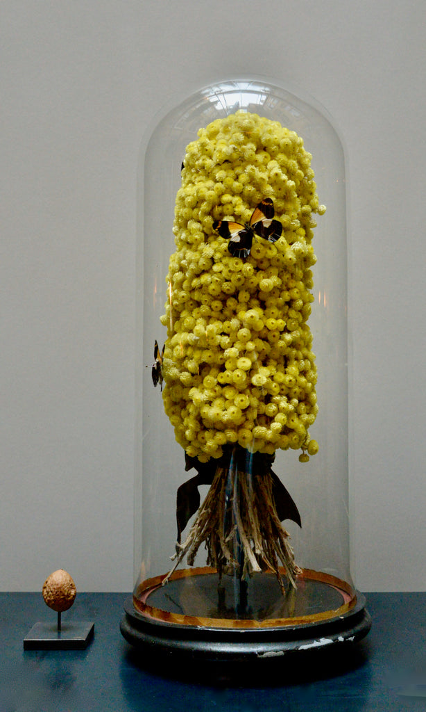 Round high vintage dome with helichrysum bouquet and butterflies