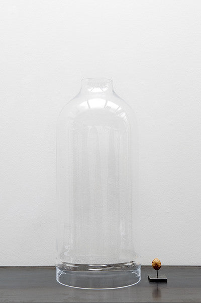 Glass dome large