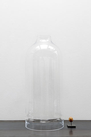 Glass dome large