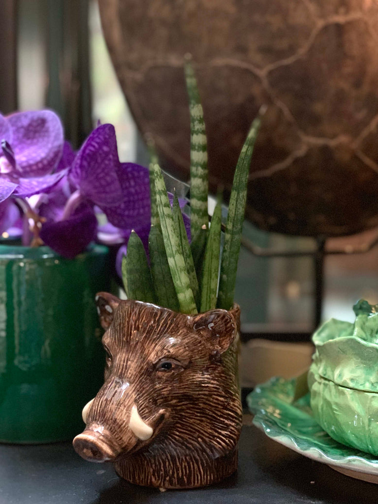 Wild boar pot ceramic