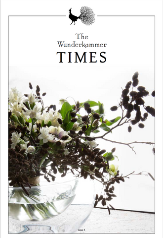 The Wunderkammer Times Issue 3