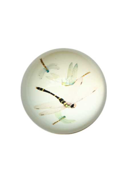 Dragonfly glass sphere