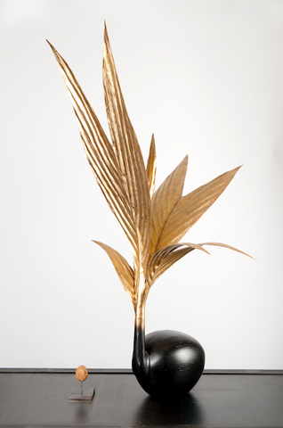 Coconut lamp