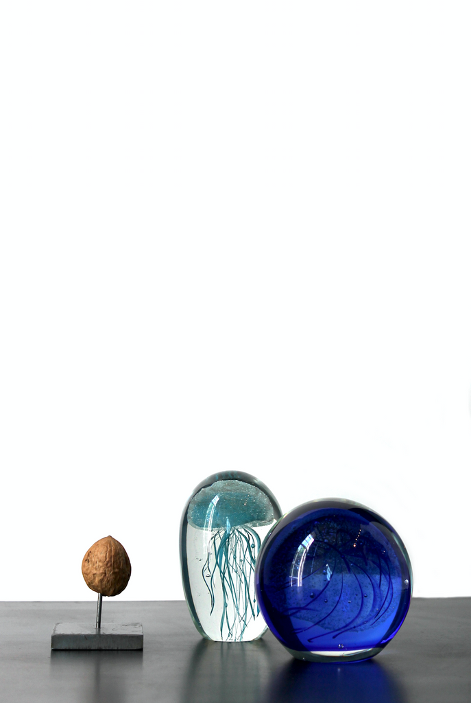 Glass jellyfish paper press round