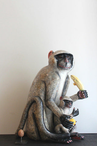 Ardmore monkey with young