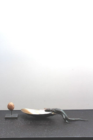 Bronze cast lizard with shell