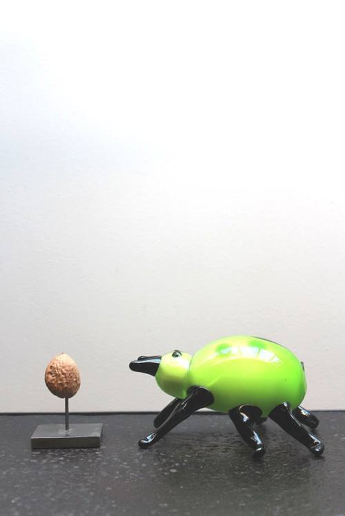 Object - Glass Beetle