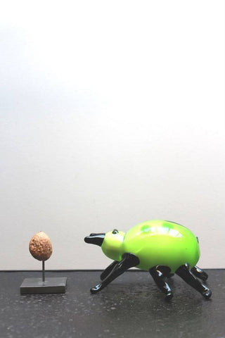 Glass beetle
