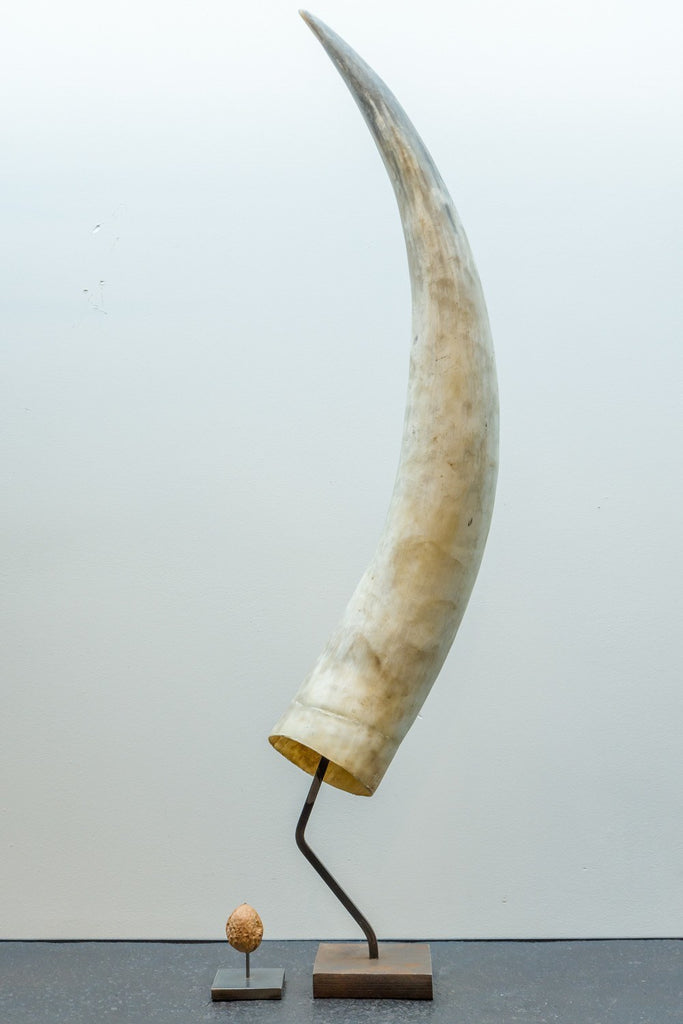 Object - Horn Light
