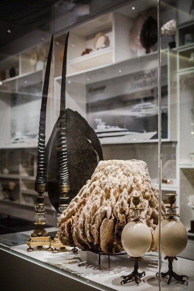 Object - Klaus Dupont Ostrich Candle Holders