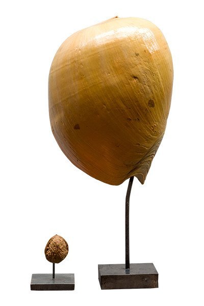 Object - Melo