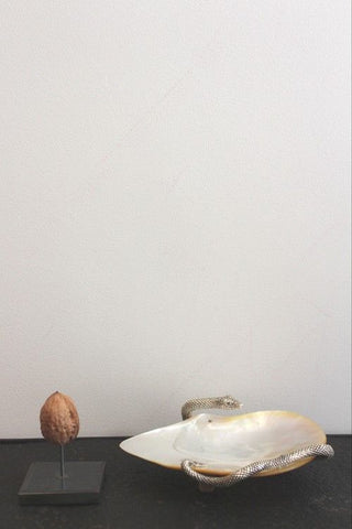 Silver plated snake with shell