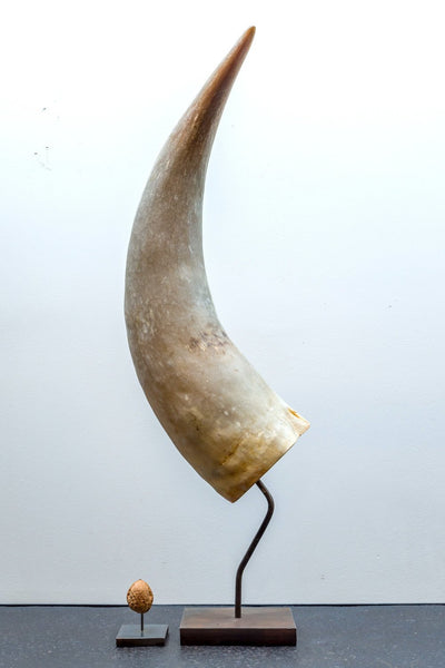 Object - Watussi Horn