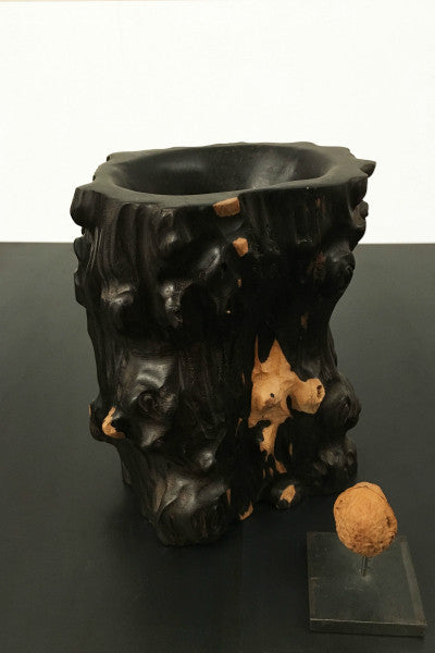 tree trunk vase pot conifer wood