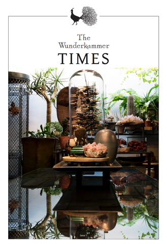 The Wunderkammer Times Issue 1