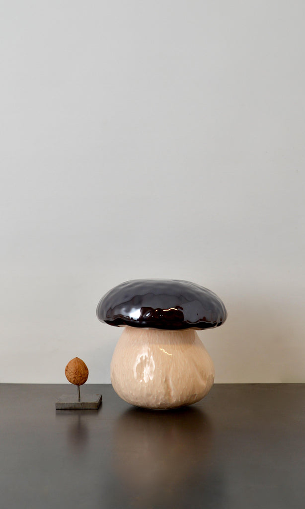 Mushroom pot ceramic