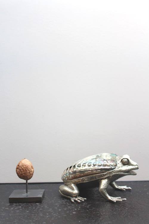 Object - Paua Shell Toad