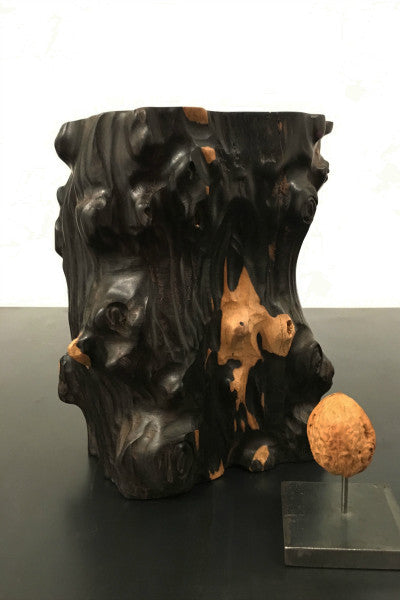 tree trunk vase pot conifer wood