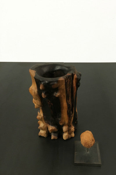 tree trunk vase pot conifer wood light